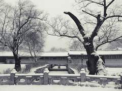 [노션]청월가담(靑月街談)一