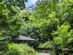 [찬턍] 나츠와 츠키 上