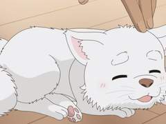 동인지 회지 중고거래