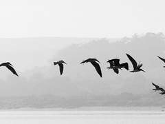 [사내사내]또 하나의 종결