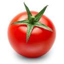 토마토