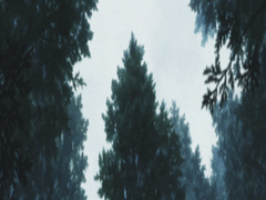 신카이 - A parallel line in a square [ 16화 ]