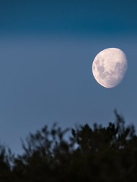 시리즈 달의 뒷면.