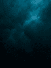 [데못죽] 세계는 멸망했고, 우리의 보금자리는 빼앗겼다