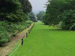 용인, 한택식물원 풍경