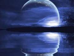 [백도] 괴물의 꽃 #8