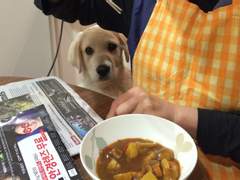 개소년 멍구와 함께 (2014년 9월)