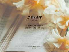 마기카로기아 / 그대에게(for you)