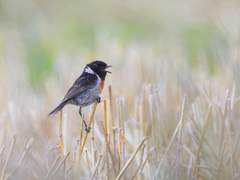 우리들의 세계에 영원한 작별인사를!