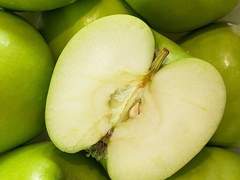 푸르다 못해 초록 (下)