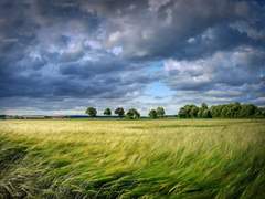 (닌자고)세상을 구하기 위해서 원치 않아도 해야만 하는 일