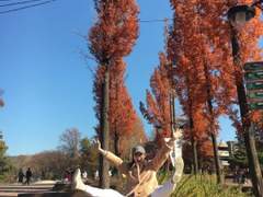 채리에 대한 모든 것 + 카톡