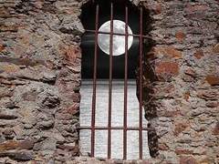 제 미처 모르고.