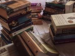 휴가 슈키치 / 23 / XY