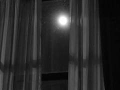 그래 너가 나가는게 빠를까? 내가 죽이는게 빠를까?