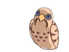 오랜만에 백업!