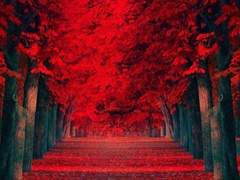 휴 • 신선비 • 세화교