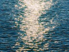 한강 커미션 공지사항