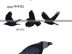 [클스 브러쉬/ 웹툰 소재] 비둘기+까마귀 브러쉬 합본