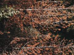 아주 괜찮은 밤