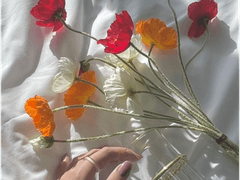 #마음한_트친이_소설이라면_있을법한_문장