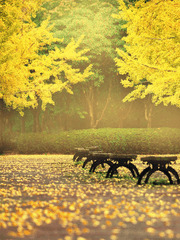 아이테르의 여명