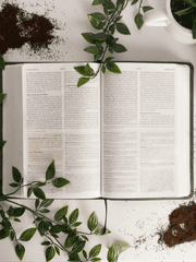 [도쿄리벤져스/도리벤] 무제