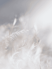 [도리벤 / 도쿄리벤져스]