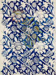 내가 키운 스급들