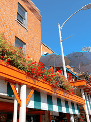 앙쥬의 홍윤 환승연애