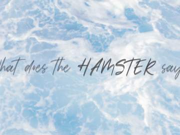 What does the HAMSTER say?