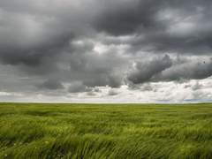 [승준명석] 청춘연애담 (1)