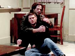 따끈한 새미한테 안겨있기 좋아하는 딘