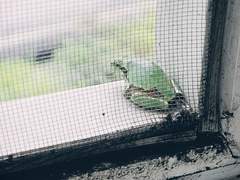 나 또한 나라는 사람을 모른다.