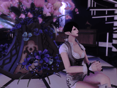 예비 언약자님에게 알려드리는 성향글