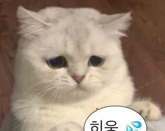 연성에 대하여....