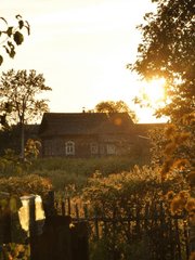 花華들의 이야기