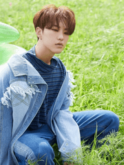 환상적인 바람개비 언덕에서