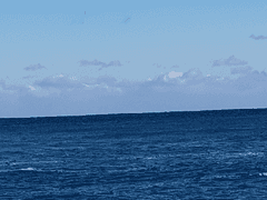 마지막 고래의 항해