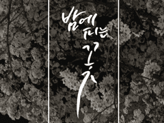 [NCT] 밤에 피는 꽃 재현 외전