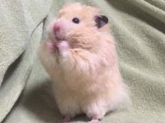 정재현 사촌동생이 에스엠한테 캐스팅 받은썰 3