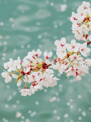 우리의 아름다운 삶을 