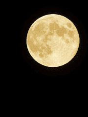 1미터의 지름을 가진 원형의 땅