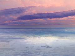 이리카 하나미자와 ｜공개 프로필