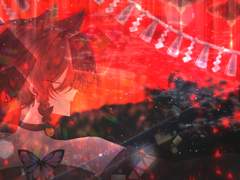 유우 아키라 라이브 로그