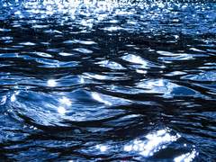 나의 종이비행기에게