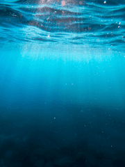 눈이 내리는 바다의 내일은