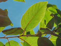 [찬턍] 매미가 울던 여름에 나도 울었다