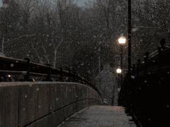 [찬턍] 뱀은 겨울잠을 자지 않는다