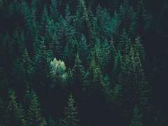 낙오자에게 배턴 터치를